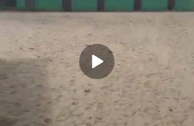 3 Plot of Dry Land Facing Road @ Igboelelerin,,Off Lasu Isheri.