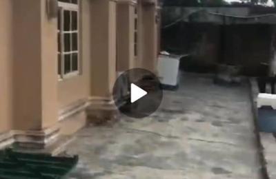 2 UNIT OF ROOM AND PARLOUR